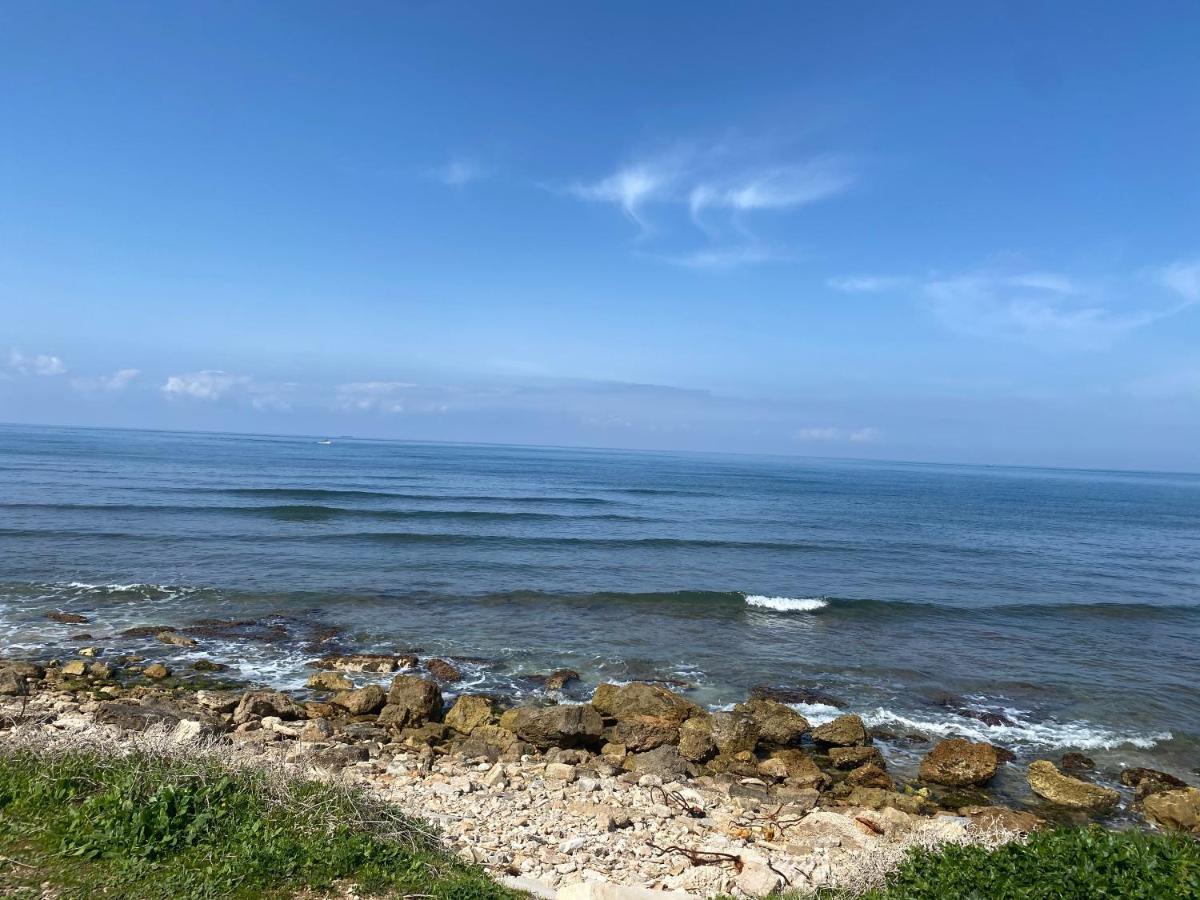 하이파 Sea Pearl 아파트 외부 사진